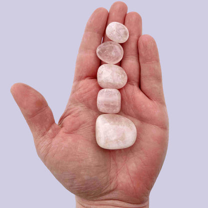 Tumbled Rose Quartz - Aphrodite's Apothecary